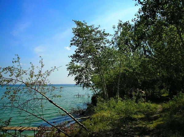 Estate del paesaggio marino — Foto Stock