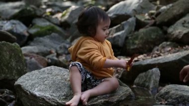 Bebek toddler creek at.