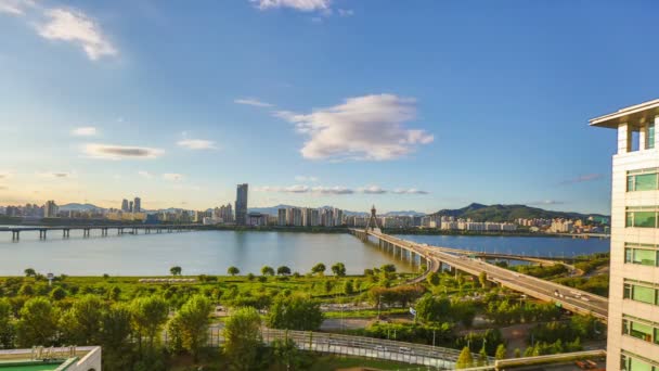 Seoul City 266 Daytime Waterfront Park — Stock Video
