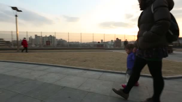 Dítě a matka v parku — Stock video