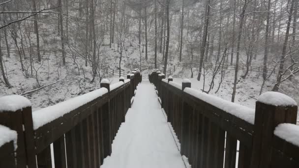 Snowy Korean Mountains — Stock Video