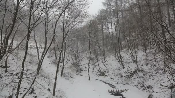 Montanhas coreanas nevadas — Vídeo de Stock