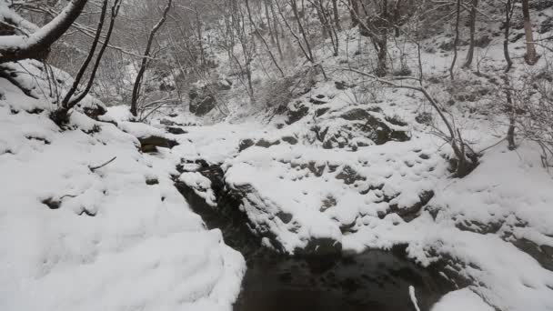Montañas coreanas nevadas — Vídeo de stock