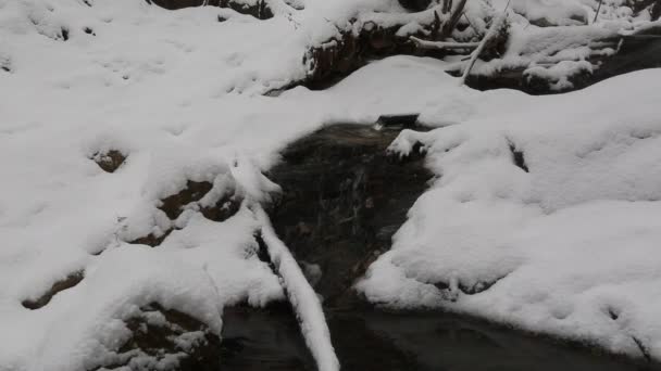 Montanhas coreanas nevadas — Vídeo de Stock