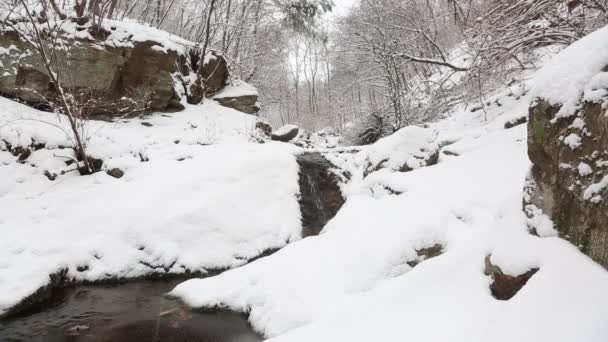 Montanhas coreanas nevadas — Vídeo de Stock