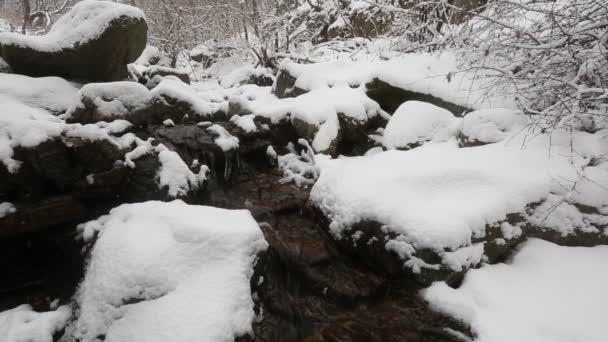 Schneebedeckte koreanische Berge — Stockvideo