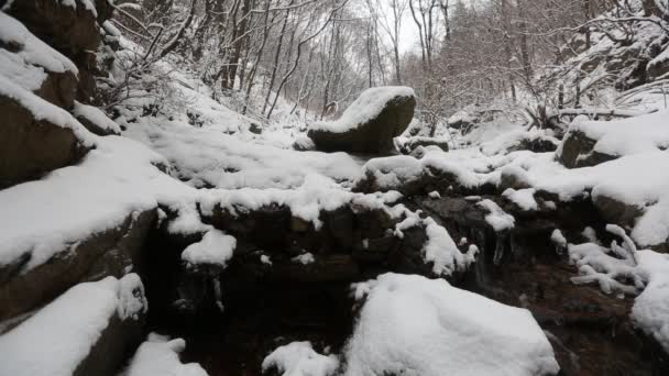 Schneebedeckte koreanische Berge — Stockvideo