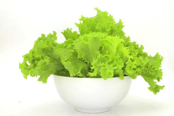 Lettuce — Stock Photo, Image