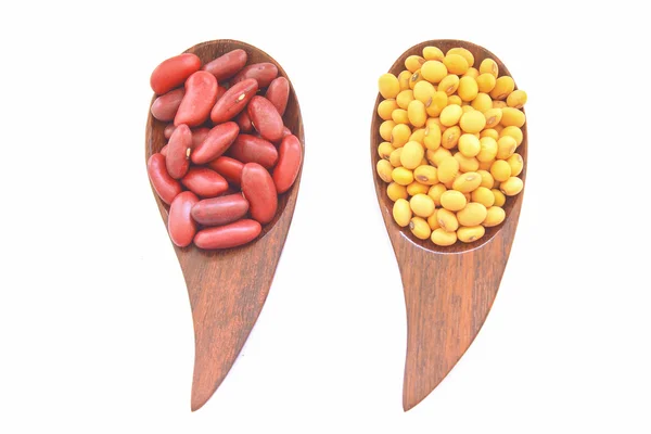 Red Kidney Bean and soy bean — Stock Photo, Image