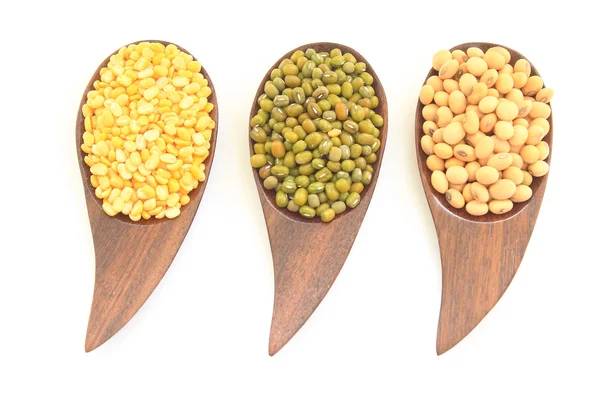 Various Lentils Beans — Stock Photo, Image