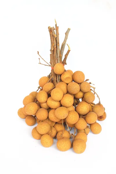 Melia azedarach ovoce — Stock fotografie