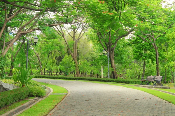 egzersiz için yaya geçidi