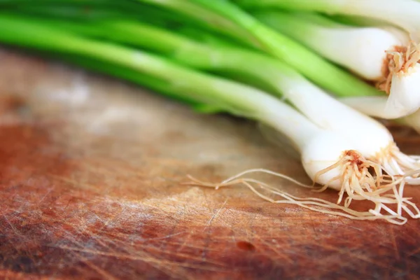 Un manojo de cebolletas frescas — Foto de Stock