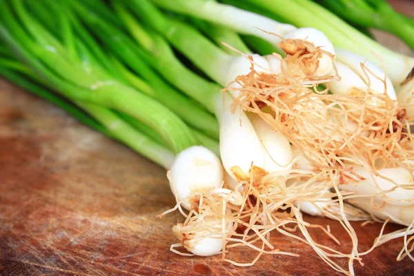 Taze scallions bir bohça — Stok fotoğraf