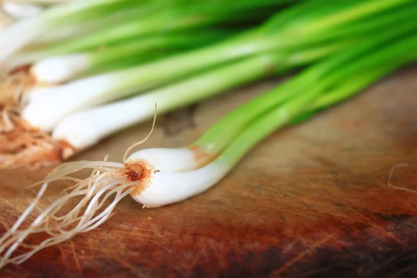 taze scallions bir bohça