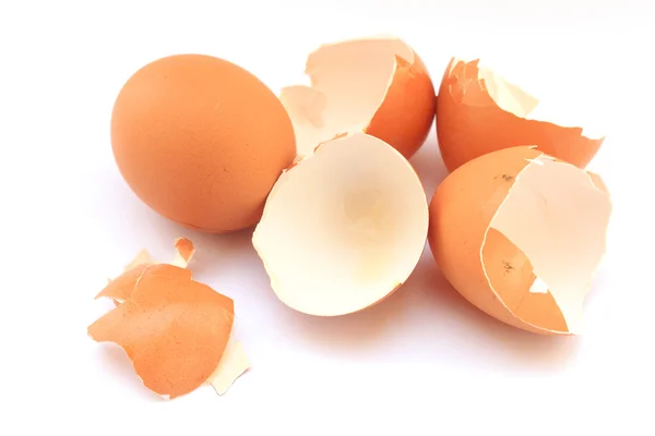 boş kırık yumurta kabukları