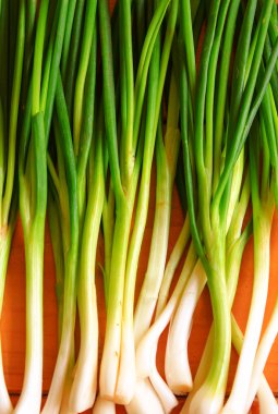 yeşil soğan ya da scallions ahşap zemin üzerinde
