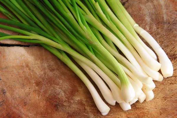 Spring onion — Stock Photo, Image