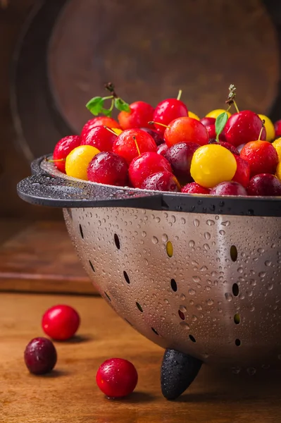 Verse cherry pruimen — Stockfoto
