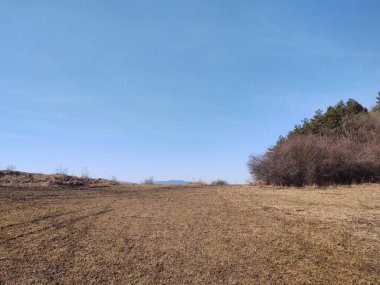 Alan ve orman ile güzel manzara