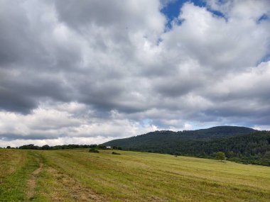Bulutlu gökyüzünde tarlası olan güzel bir manzara.