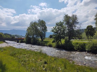 Güneşli bir günde nehirle güzel bir manzara