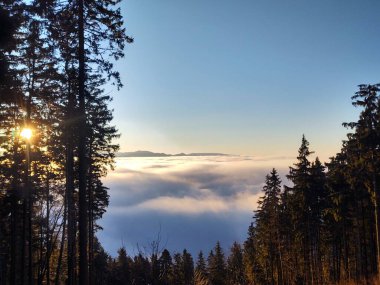 Dağ ormanında güzel bir gün batımı