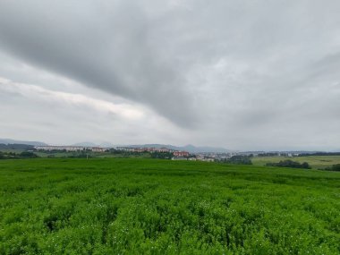 Arka planda şehir olan yeşil dağ sahası