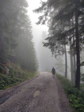 Sisli ormanda yürüyüş yapan bir adam