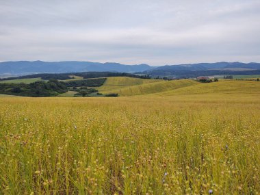 Tarlası olan güzel dağ manzarası