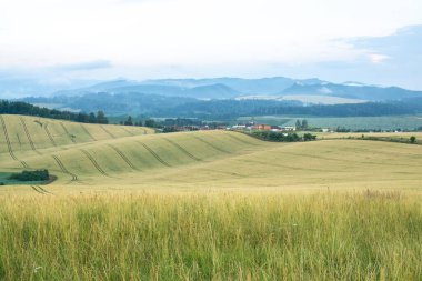 Tarlaları olan güzel dağ manzarası