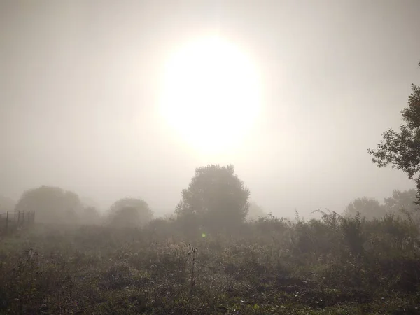 Beautiful Landscape Foggy Morning — Stock Photo, Image