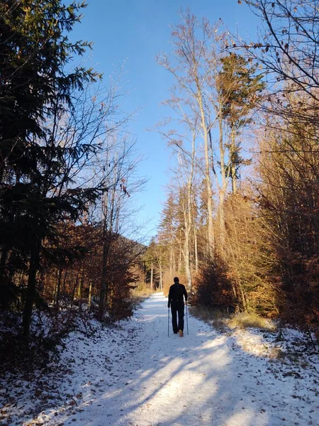 Man walking on path in winter forest