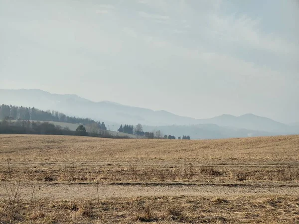 Krásná Krajina Slunečný Den — Stock fotografie