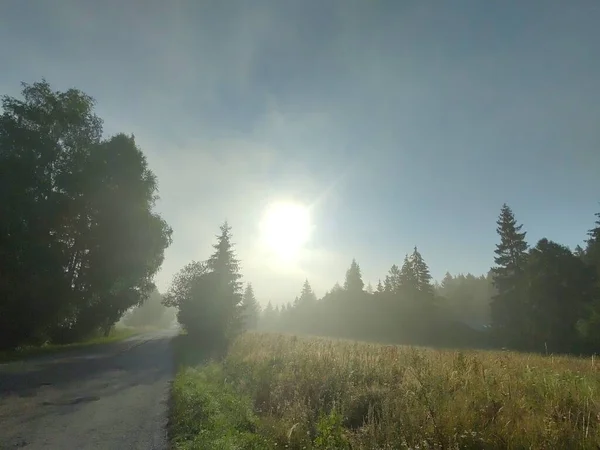 Krásné Horské Krajiny Lesem — Stock fotografie