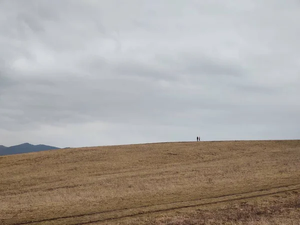 Krásná Horská Krajina Polem Oblačného Dne — Stock fotografie