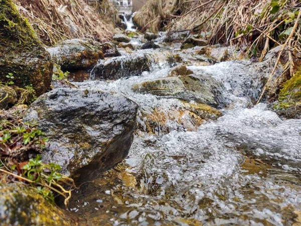 Крупним Планом Красивий Водоспад Лісі — стокове фото