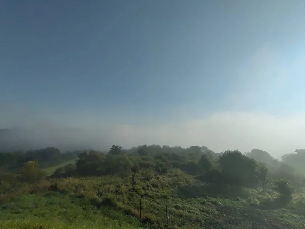 Hermoso Paisaje Montaña Con Bosque — Foto de Stock