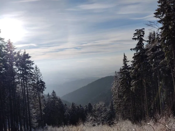 Όμορφο Ορεινό Τοπίο Δάσος Κατά Χειμερινή Περίοδο — Φωτογραφία Αρχείου