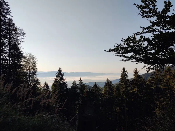 Beau Paysage Montagne Avec Forêt — Photo