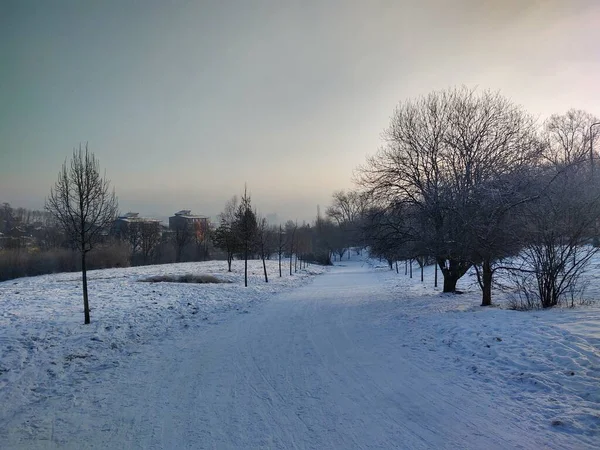 Paisaje Invernal Con Árboles Cubiertos Nieve Carretera —  Fotos de Stock