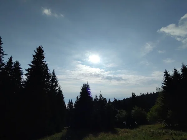 Bela Paisagem Montanhosa Com Floresta — Fotografia de Stock