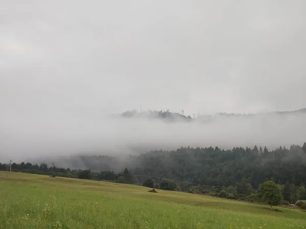 Bela Paisagem Montanhosa Com Nevoeiro Sobre Floresta — Fotografia de Stock