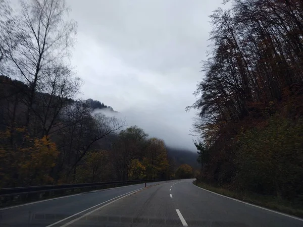Asphaltstraße Nebligen Wald — Stockfoto