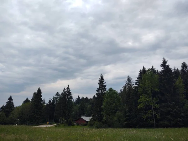 Beau Paysage Montagne Avec Forêt — Photo