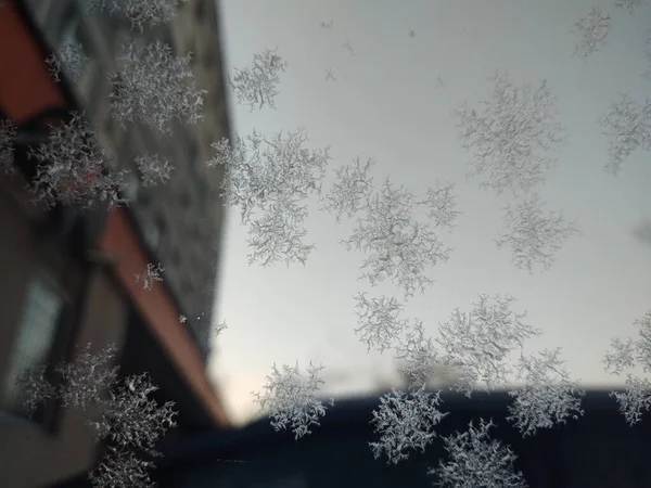 雪に包まれた美しい冬の背景 — ストック写真