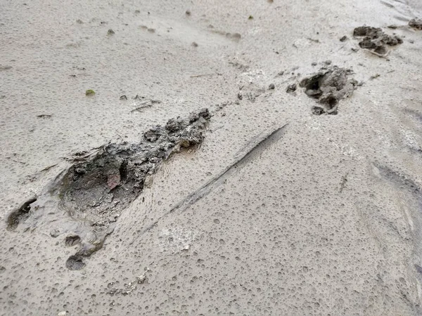 Primo Piano Delle Impronte Sulla Strada Sporca — Foto Stock