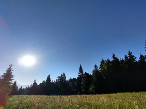 Hermoso Paisaje Montaña Con Bosque — Foto de Stock