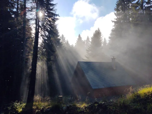 Schöne Aussicht Auf Wald Und Haus Vor Naturkulisse — Stockfoto