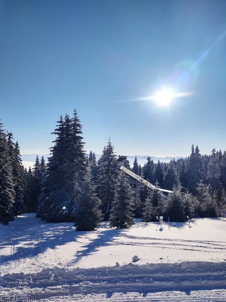 Hermoso Paisaje Invierno Montaña Con Bosque — Foto de Stock